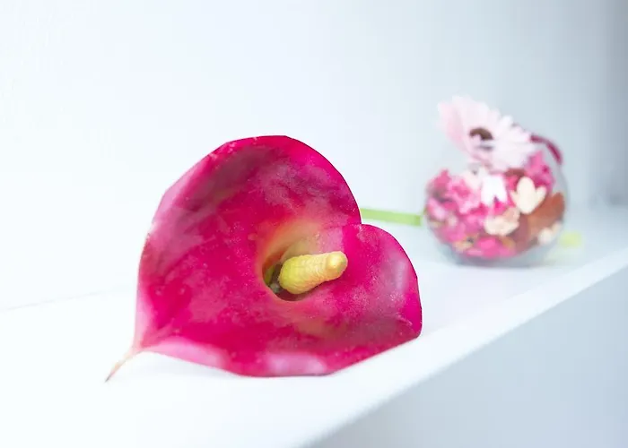 브레다 120 * 밀라노