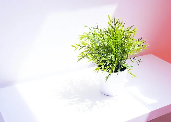 브레다 120 아파트