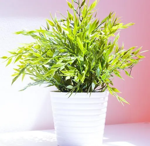 דירה Via Breda 120 *