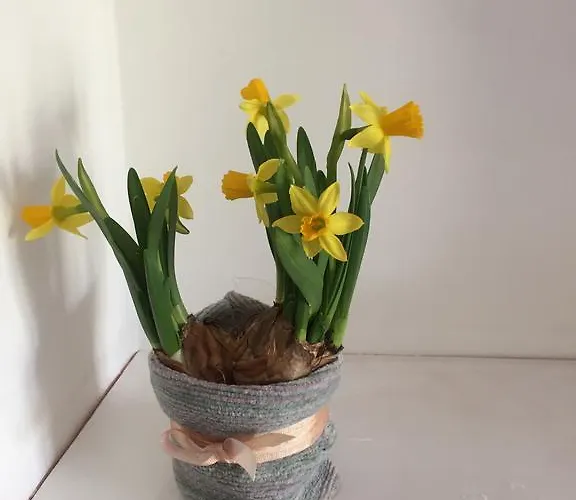 Apartamento Volta In Brera