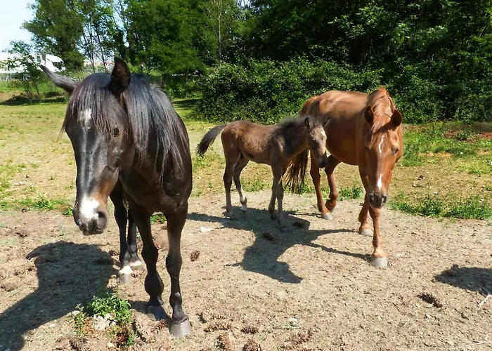 Dolce Luna * Mediolan