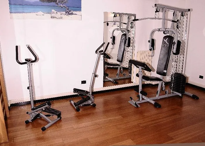 Отель Palmanova 4*