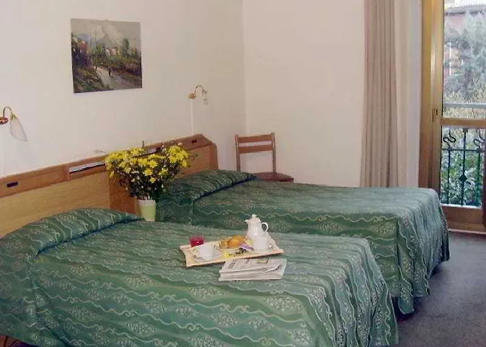 Hotel Adler Milaan
