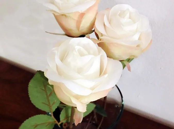 Alojamento de Acomodação e Pequeno-almoço Argentina Milão