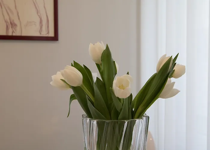 Porta Venezia Centro