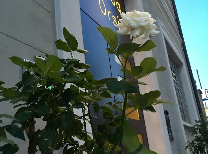 Ai Due Orsi Pensjonat 3*