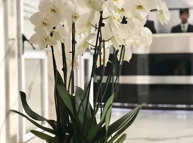 伯尔扎诺酒店 3*