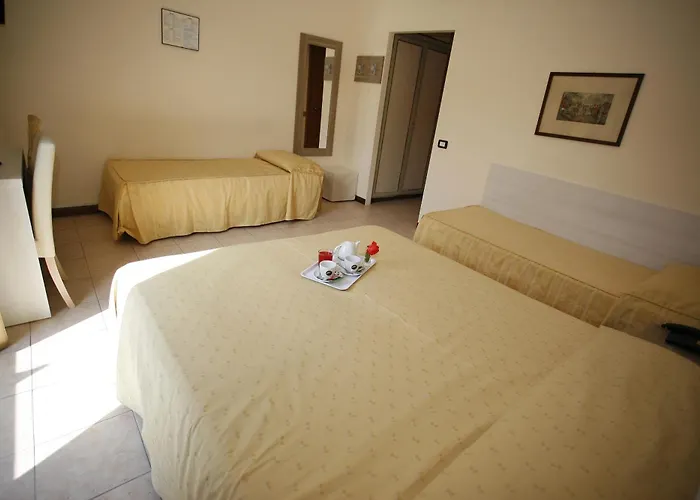 Adler Hotel 3*