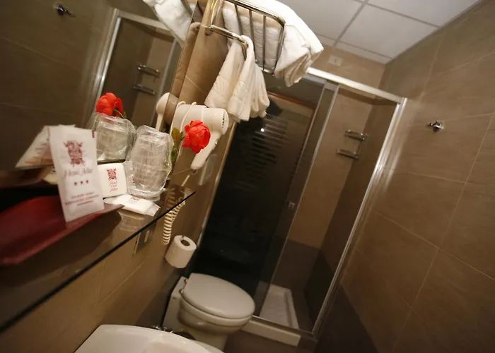 Hotel Adler 3*