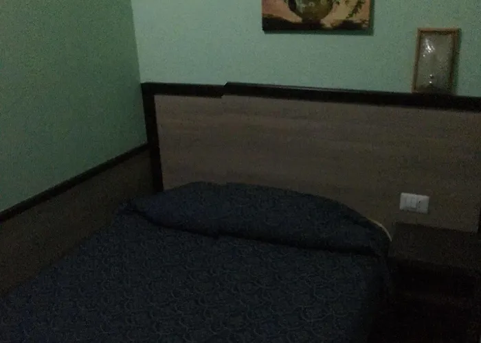 Hotel Salus *