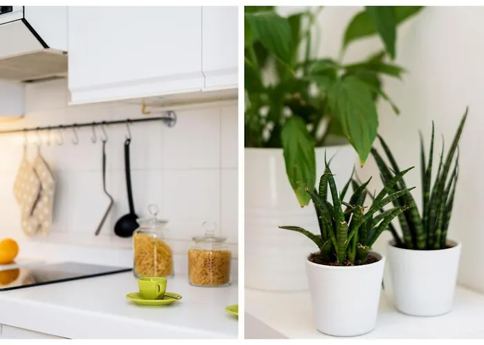 Apartman Stampa Flexyrent