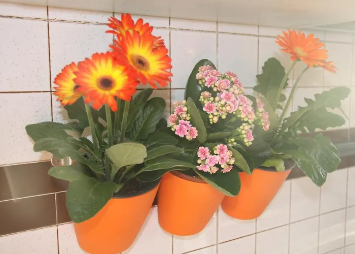 Lotus Bed & Breakfast