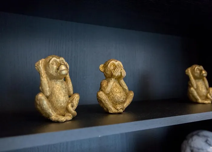 帕拉兹阿里亚精品公寓 *