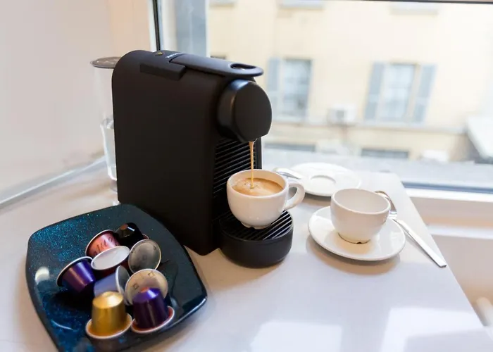 酒店 帕拉兹阿里亚精品公寓 *