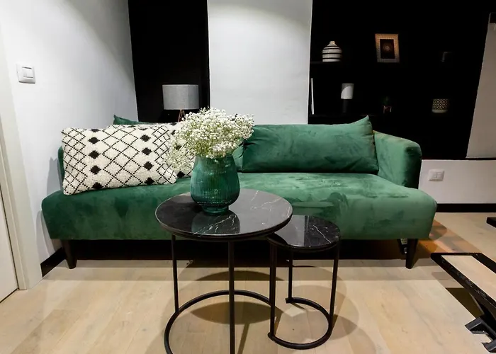 帕拉兹阿里亚精品公寓 *