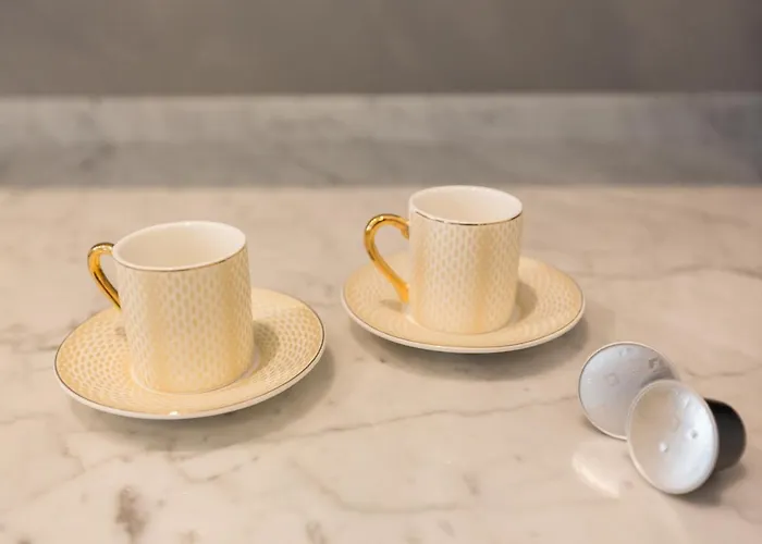 帕拉兹阿里亚精品公寓 酒店 *