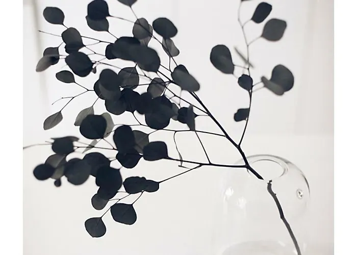 아파트 Taking A Walk In The Beating Heart Of Navigli *