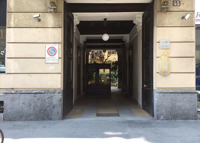 San Gregorio 45