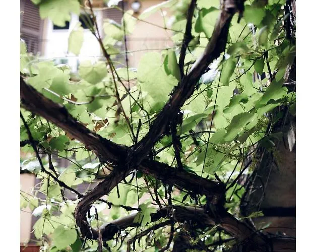 Taking A Walk In The Beating Heart Of Navigli 아파트