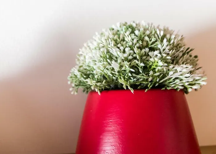 Italianway Easy - Bligny 19a Glicine Cervinia Apartament *