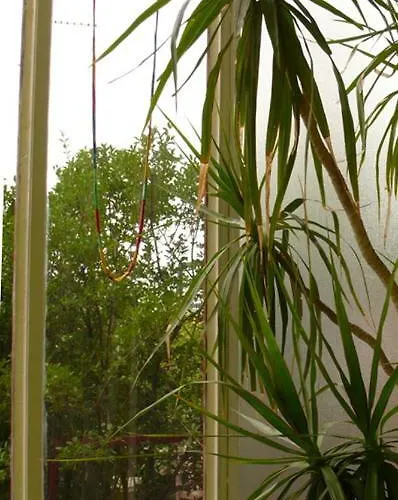 Abchouse Sant'agostino