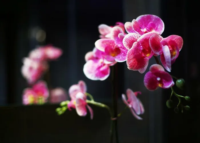 Hotel Garibaldi Fifty Attic Near Duomo