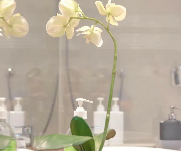 Lejlighed Design Porta Venezia