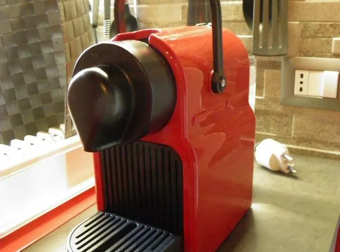 Il Nido Sul Tetto A *