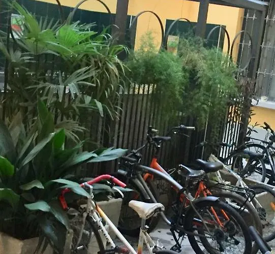 The Pearl - Of The Spots In