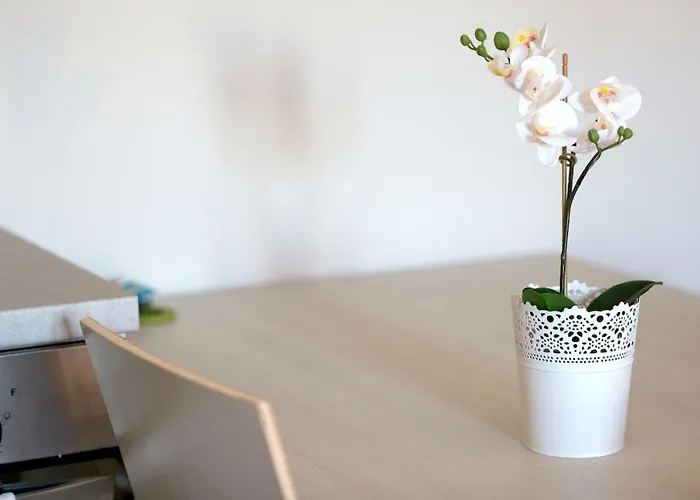 Casa Venus Ieo Milano