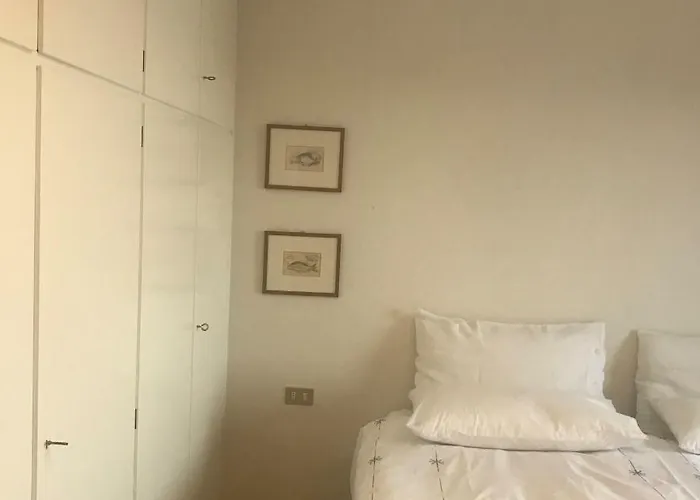 On The Floor Watching Citylife And Mico Milano