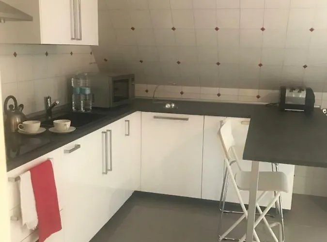 On The Floor Watching Citylife And Mico