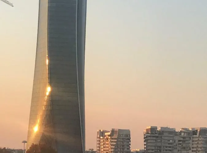 On The Floor Watching Citylife And Mico *