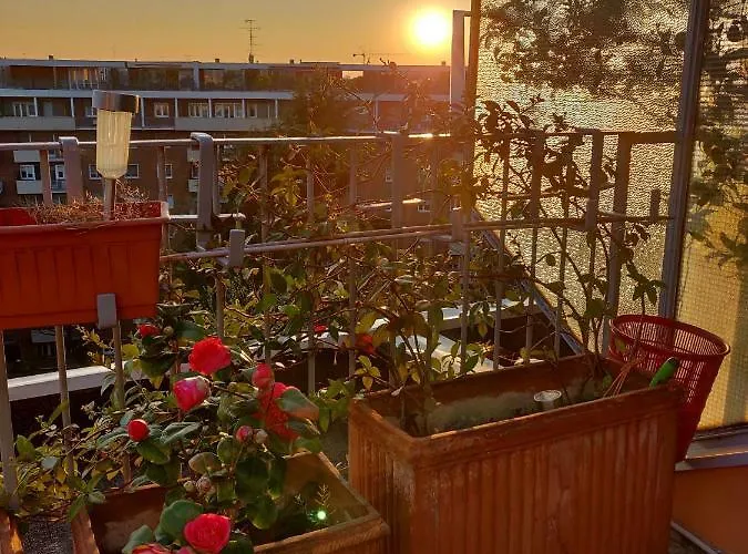 Exclusive Rooftop With Large Terrace In Solari/tortona *