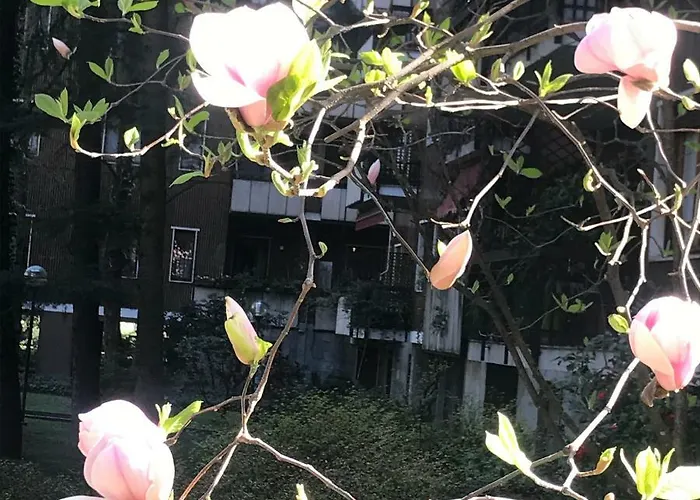 On The Floor Watching Citylife And Mico Appartamento