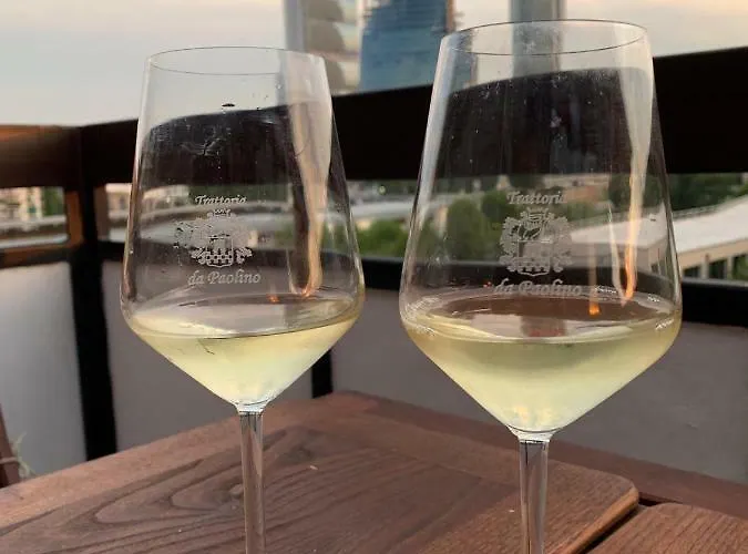 On The Floor Watching Citylife And Mico