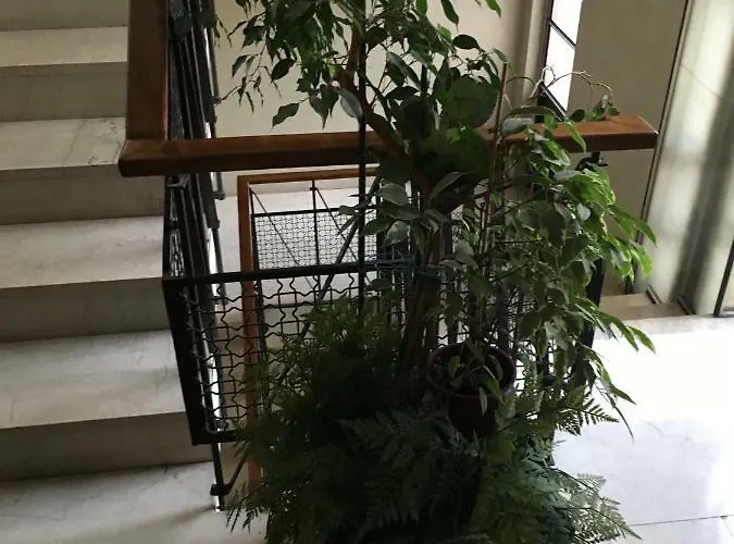 Leoni Charminghouse * Milan