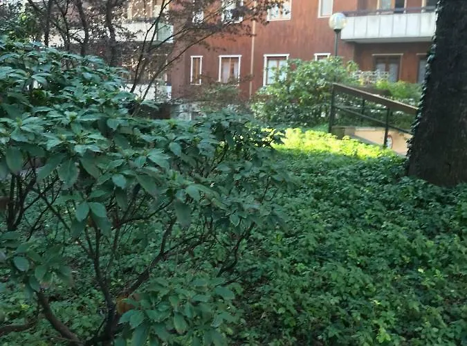 On The Floor Watching Citylife And Mico