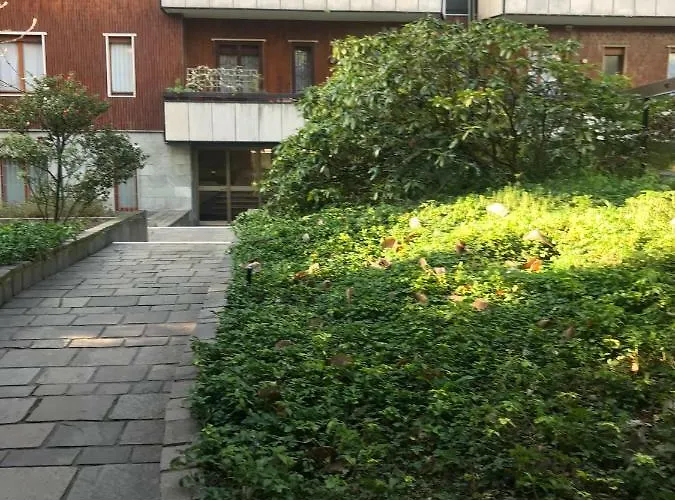 On The Floor Watching Citylife And Mico *