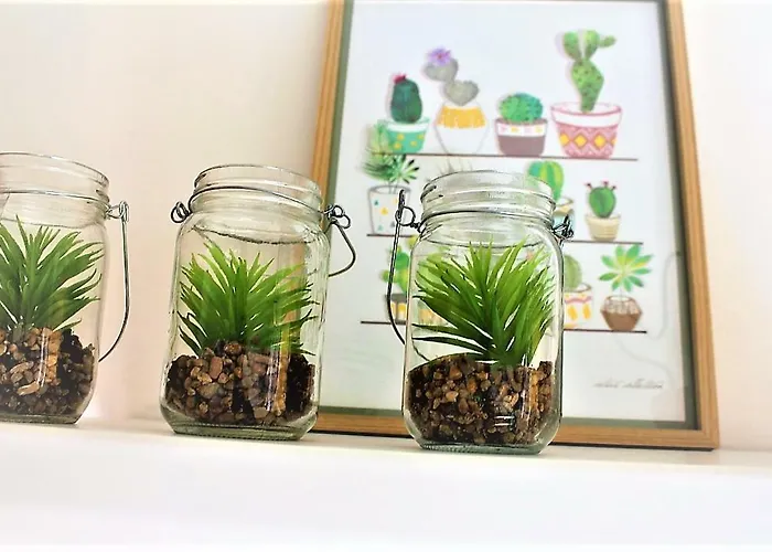 Apartment Youhome Millelire *