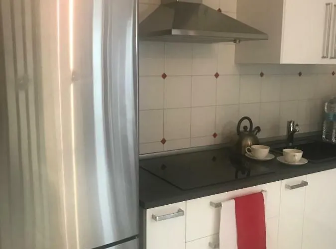 On The Floor Watching Citylife And Mico * Milano