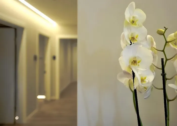 Sleep Tide Guest house 4*