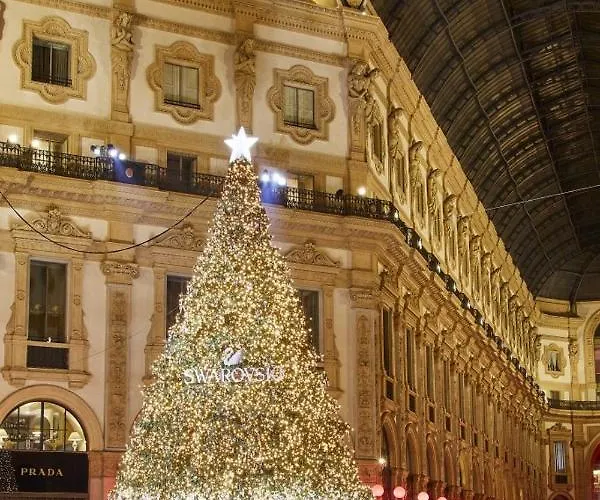 San Siro Pacherina *