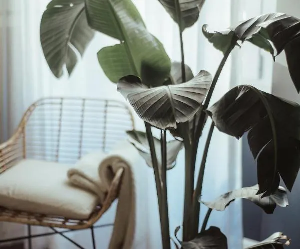 Ca Bela - Porta Romana