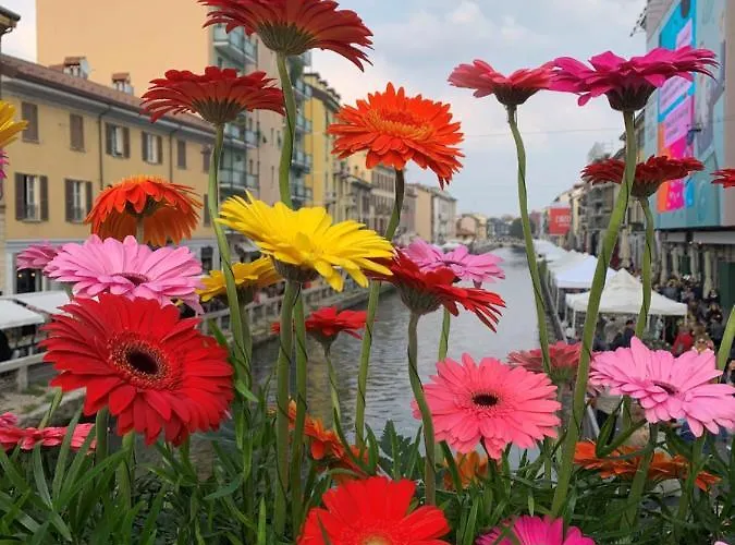 Apartamento Ripa - Ripa 57 Milão