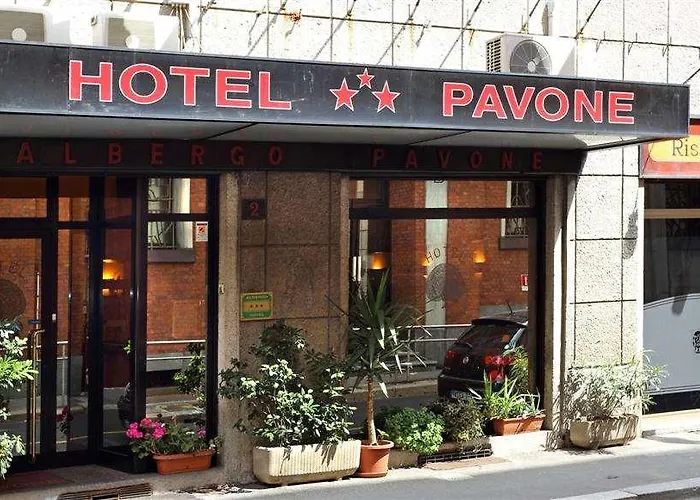 Pavone 3*
