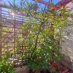 Lovely Gazebo Апартаменты