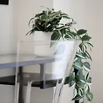 New Modern Flat 10 Minutes Walk From Station 아파트 *
