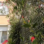Giusti 6