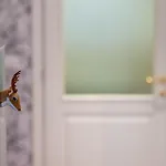 Bilocale 1br Affori - 15min Duomo * Milan